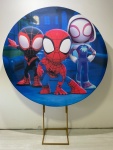Homem Aranha (Menino)  - imagem 2