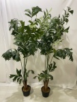 Folhagens Verde  - imagem 2