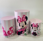 Minnie Rosa - imagem 2