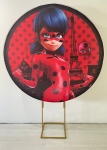 Lady Bug  - imagem 2