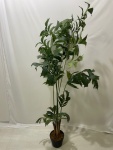 Folhagens Verde  - imagem 1