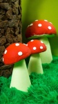Bosque Menino - imagem 14