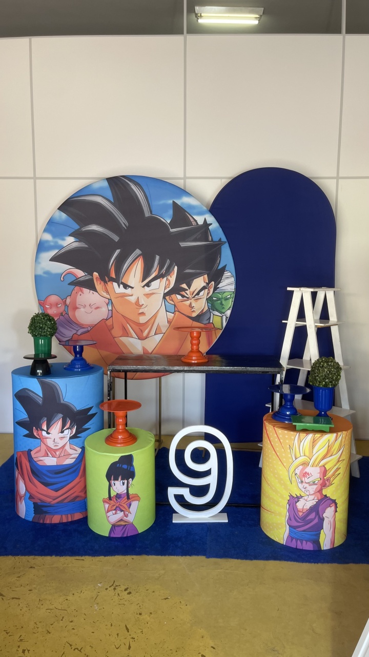Dragon Ball 3 - Mary festas 