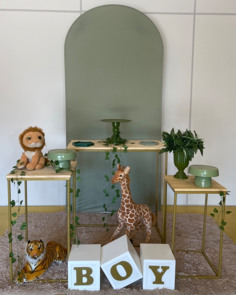 Chá de Fraldas Safari - Mary festas 