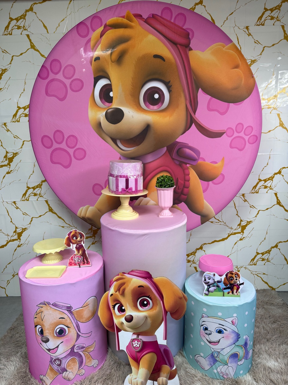 Kit Bronze 2 - Patrulha Canina Sky - PinkBluedecoracoes