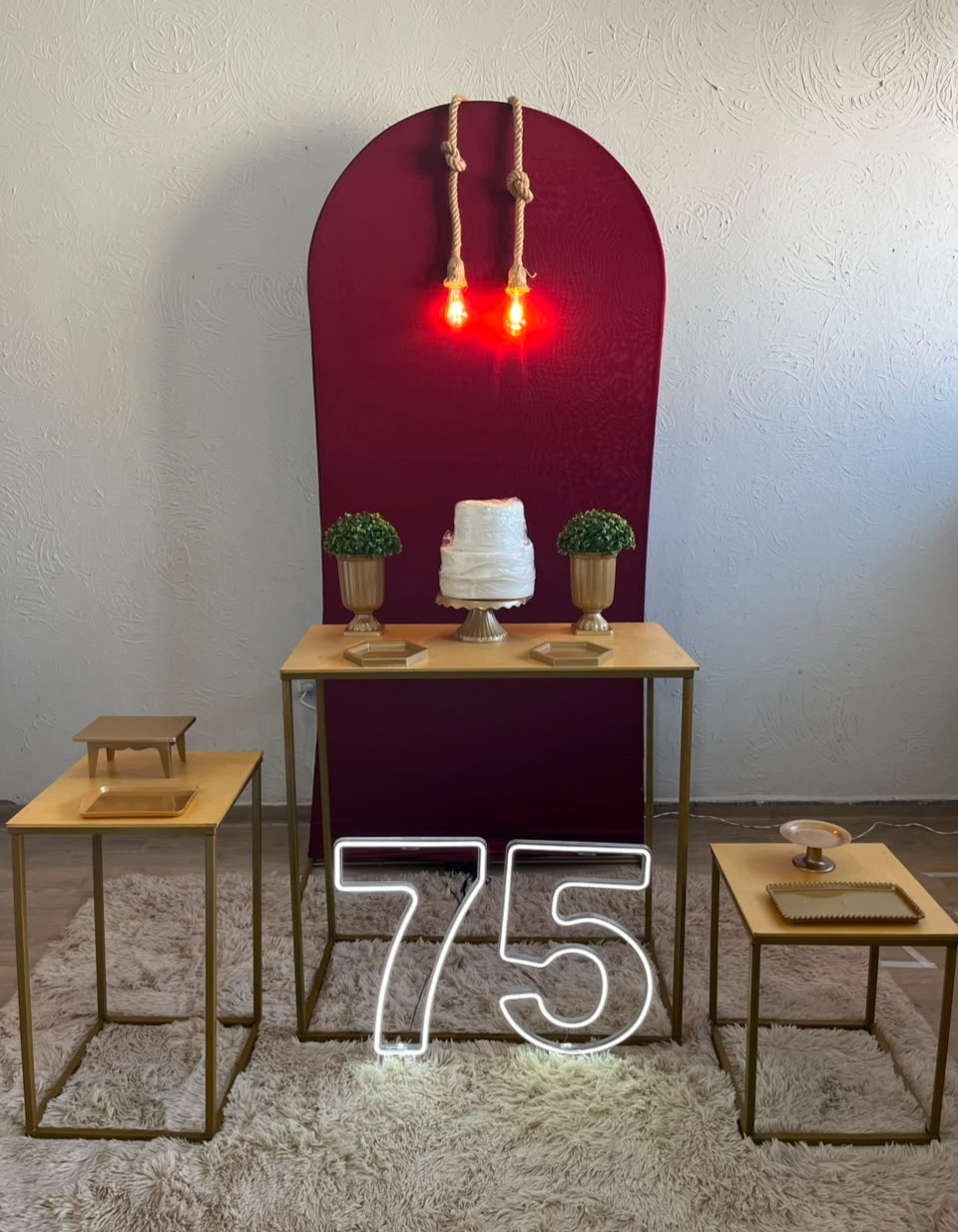 Decoração Marsala (Numero Led) - Ph Pegue e Monte