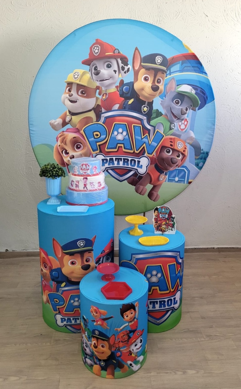 Patrulha Canina Kit Prata  - Ph Pegue e Monte