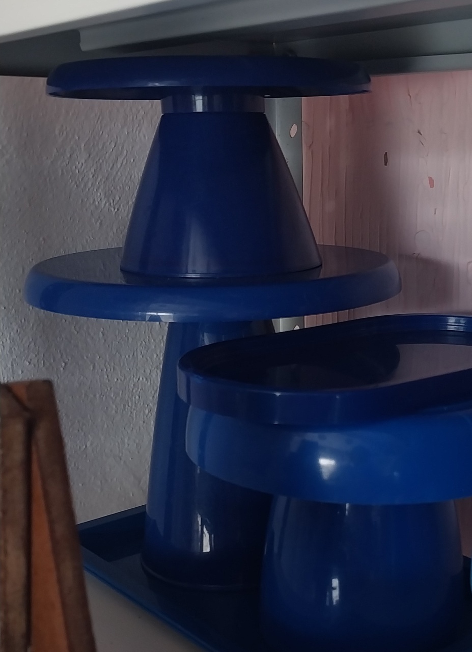 Bandeijas Plasticas Azul Marinho - Atelie  Flor Festas