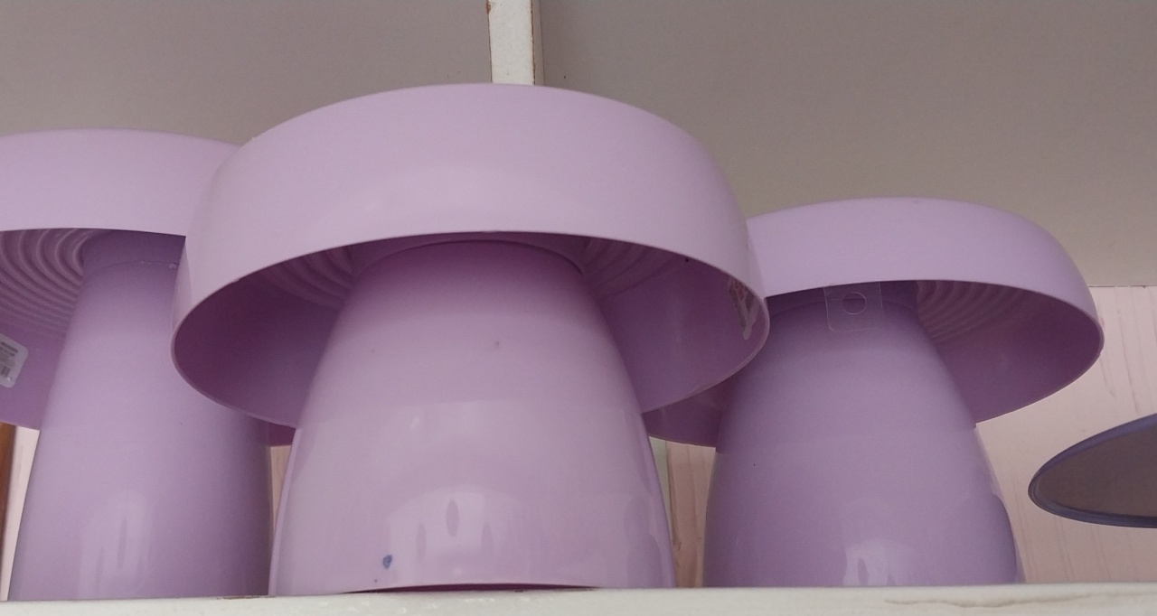Bandeijas Plastica Lilas - Atelie  Flor Festas