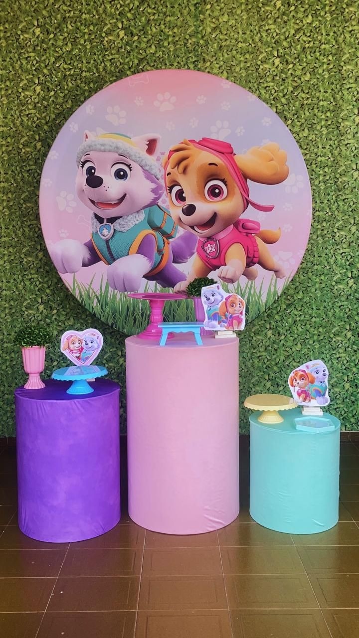 Kit Skye E Everest - Voar Decorações