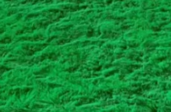 Tapete Verde Bandeira - Cíntia Rodrigues Pinheiro 