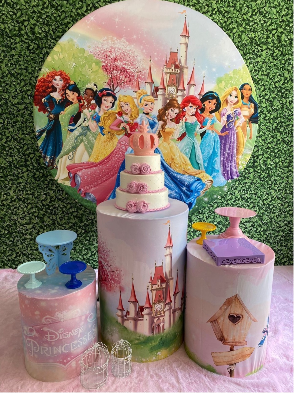 Princesas Disney Jovens - Decoracoes4you