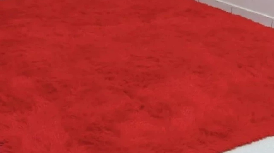 Tapete Vermelho P -  Peludinho  - LiliFestaspegueemonte