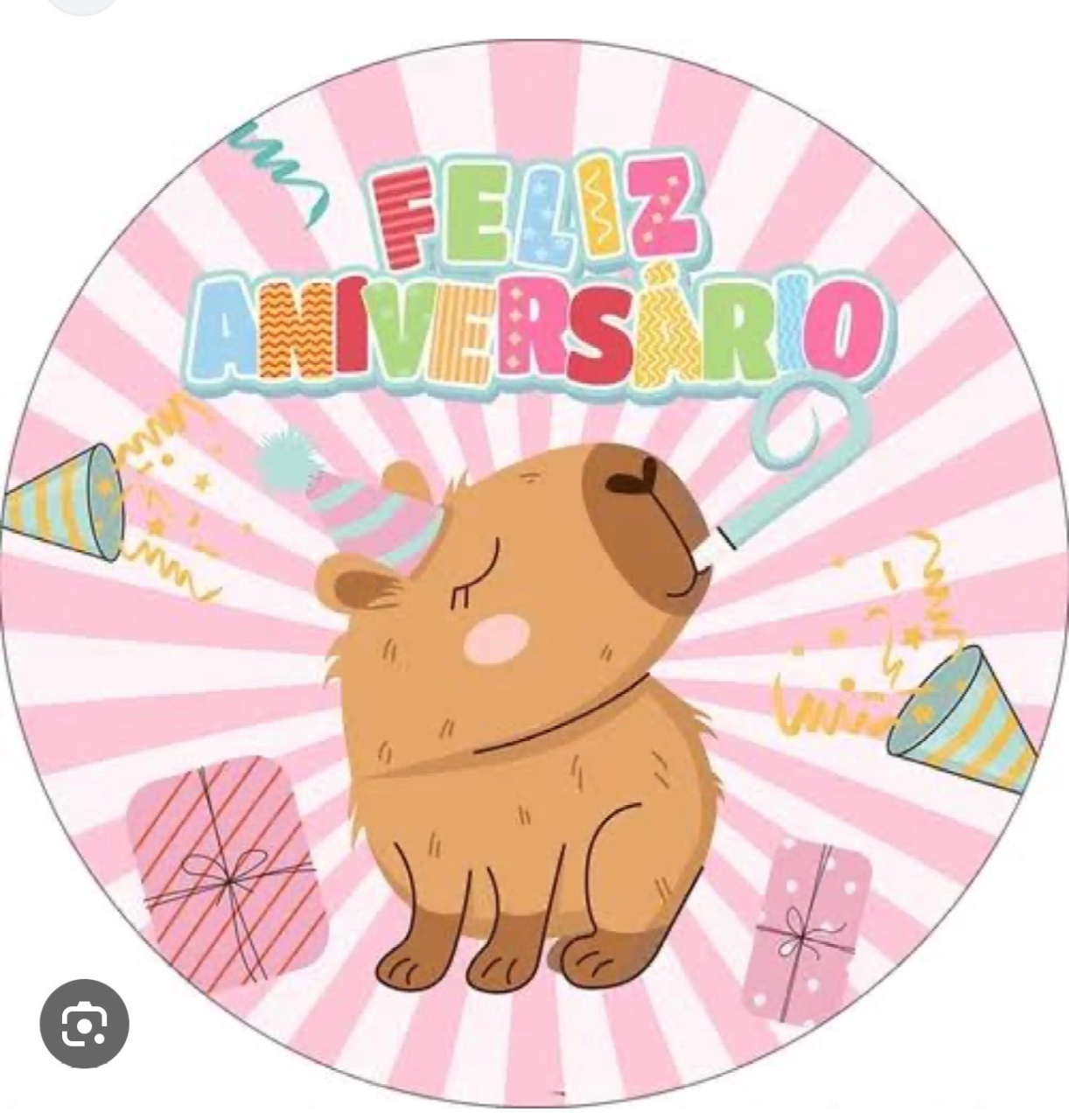 Capa Painel Capivara  - Déh Decorações 