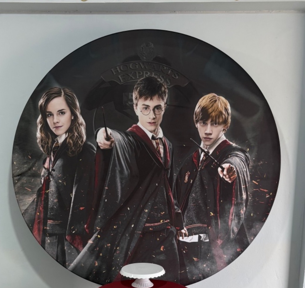 Capa Painel Redondo Harry Potter - Déh Decorações 