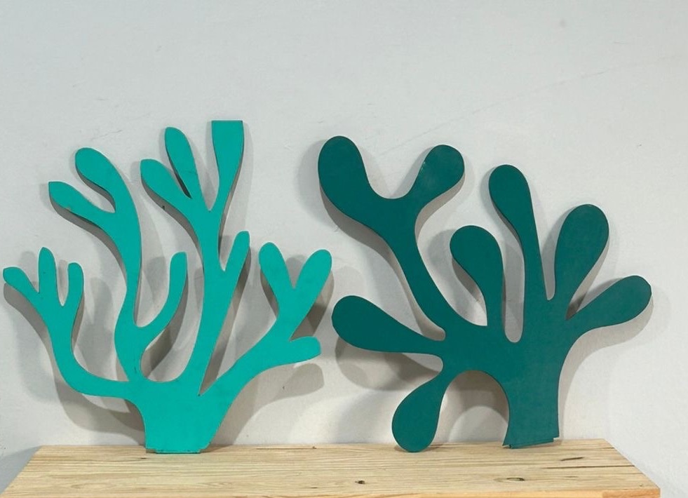Display Algas - Déh Decorações 