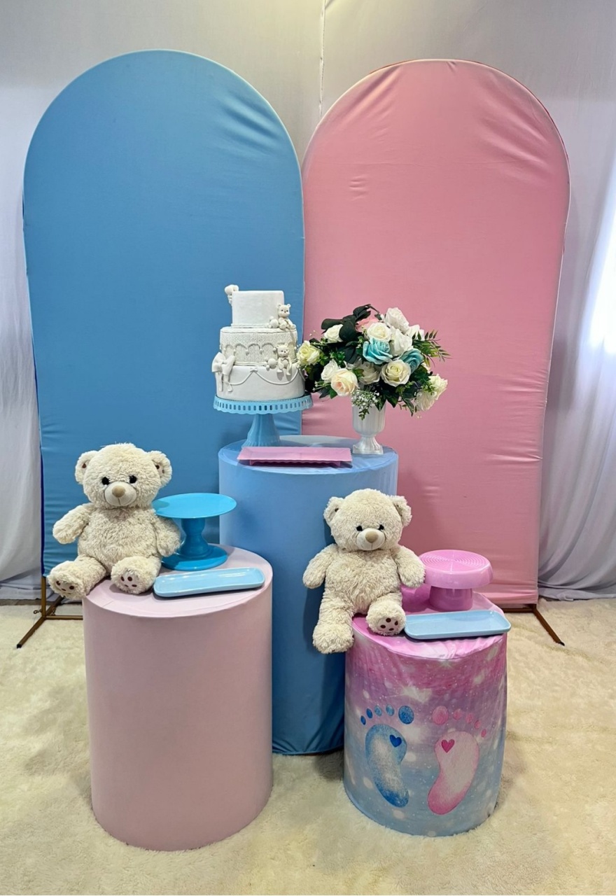 Alugue Decoração Tema Chá Revelação Azul E Rosa   - BGI FESTAS