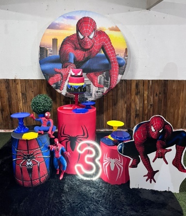 Alugue Decoração Tema Homem Aranha  ( Modelo 2 )     - BGI FESTAS