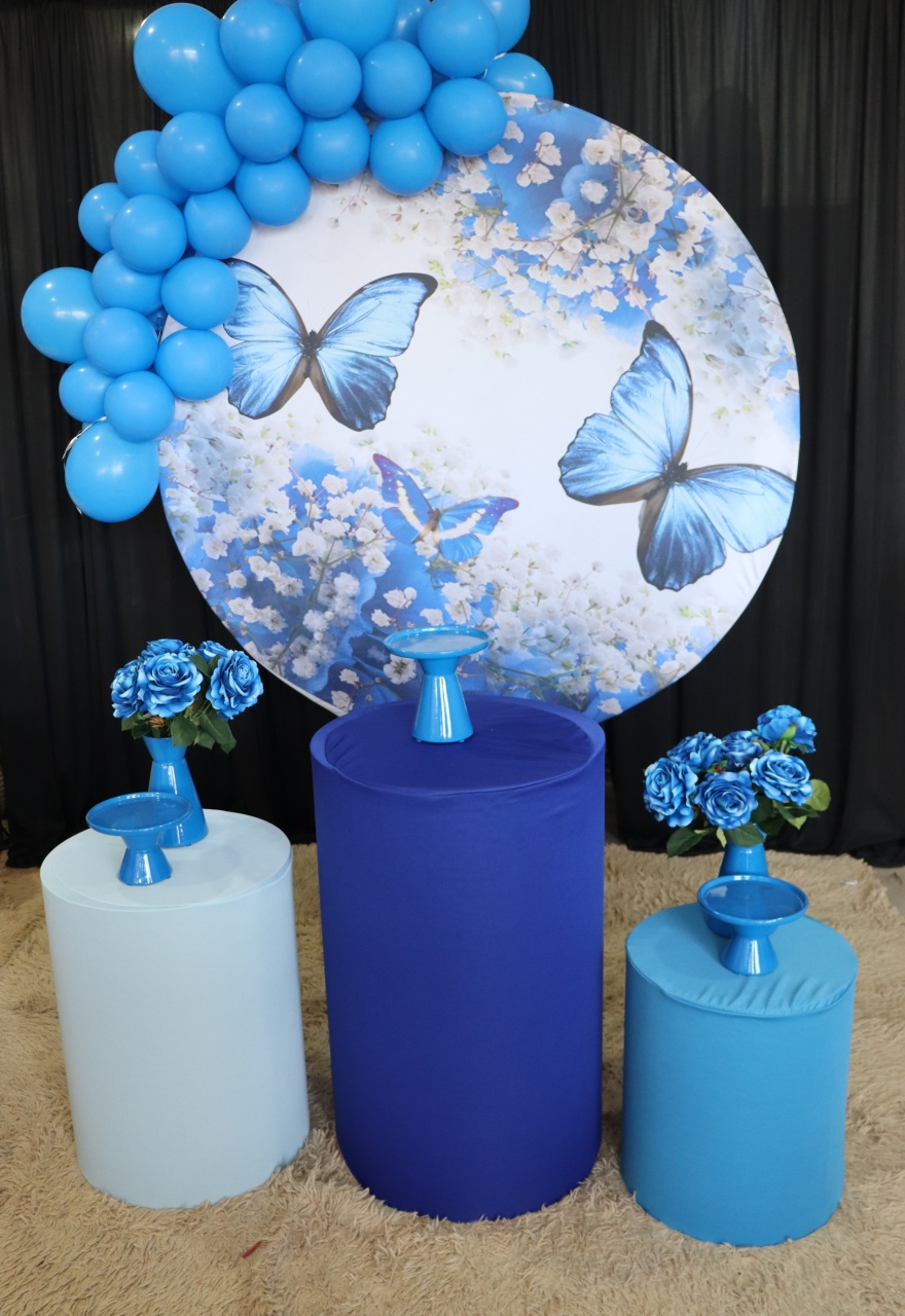 Tema Borboleta Azul  - belas festa 