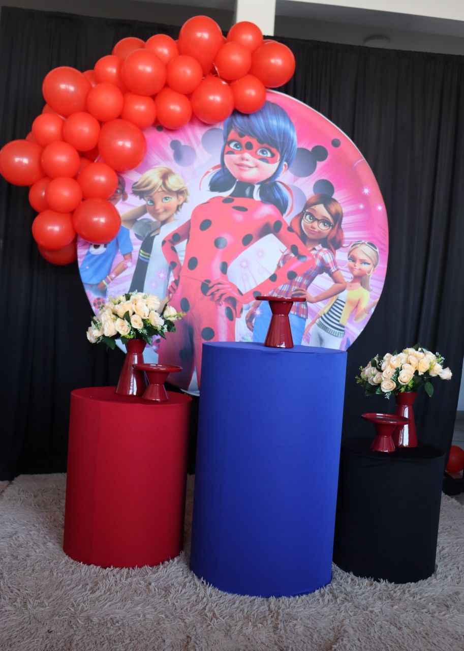 Tema Ladybug - belas festa 