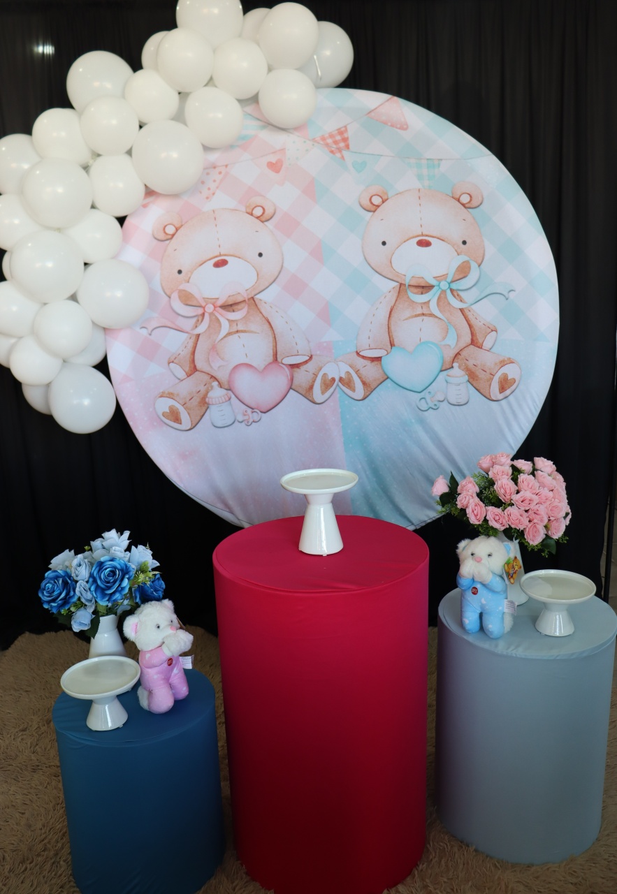 Tema Chá Revelação  Ursinhos  - belas festa 
