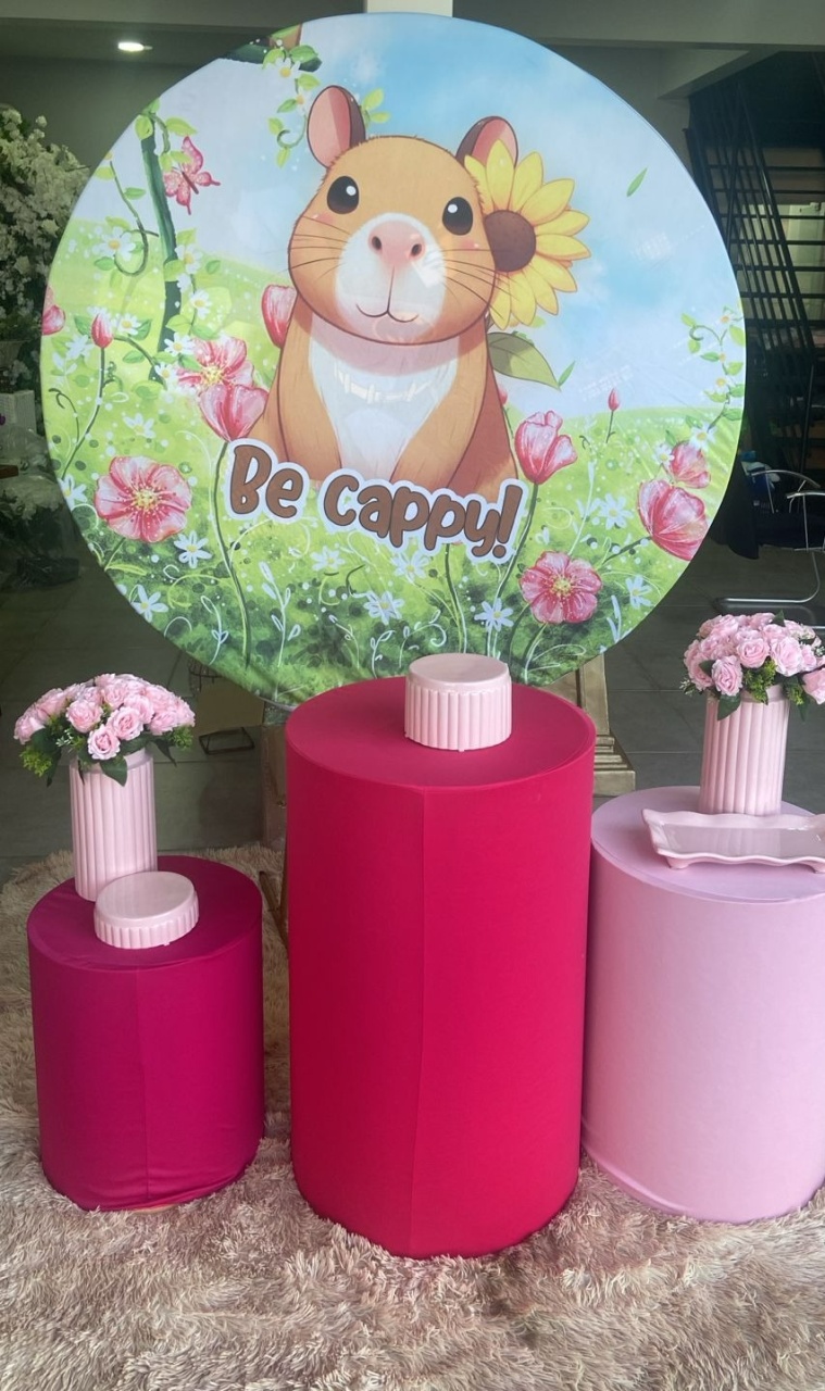 Tema Capivara  - belas festa 