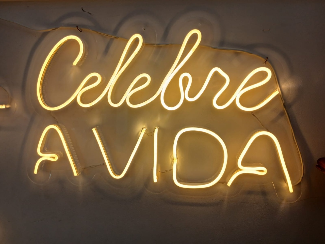 Celebrar A Vida - Balões decor