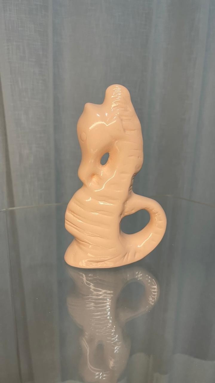 Cavalo Marinho de Cerâmica - Balões decor