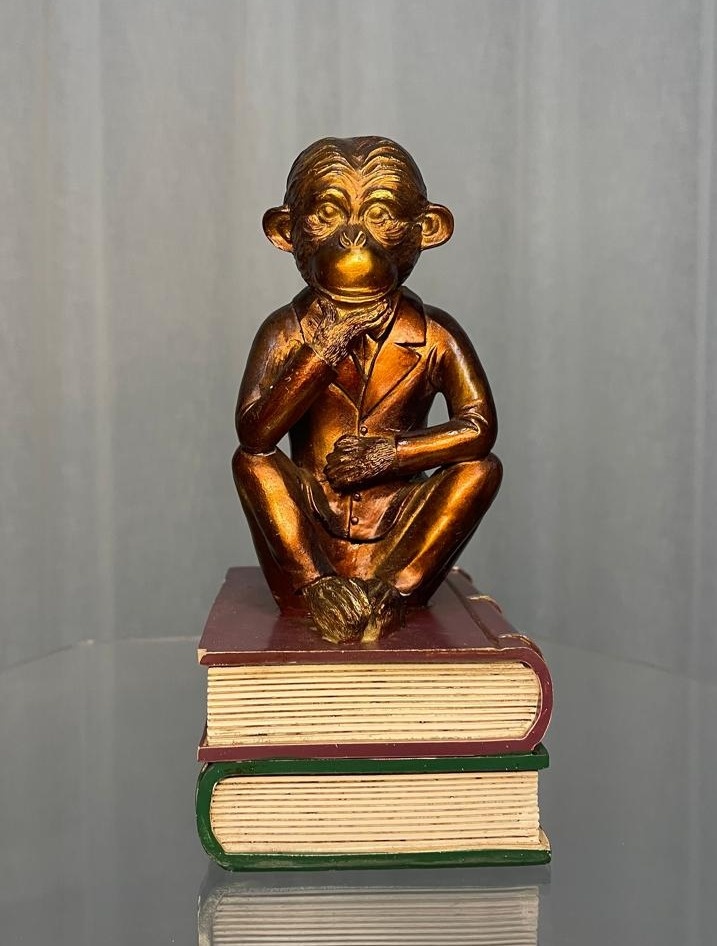  Primata de Cerâmica - Balões decor