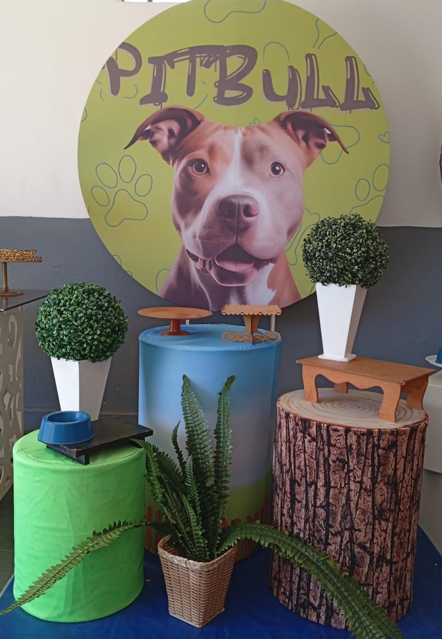Decoracao Cachorro Pitibull - Dadule decor