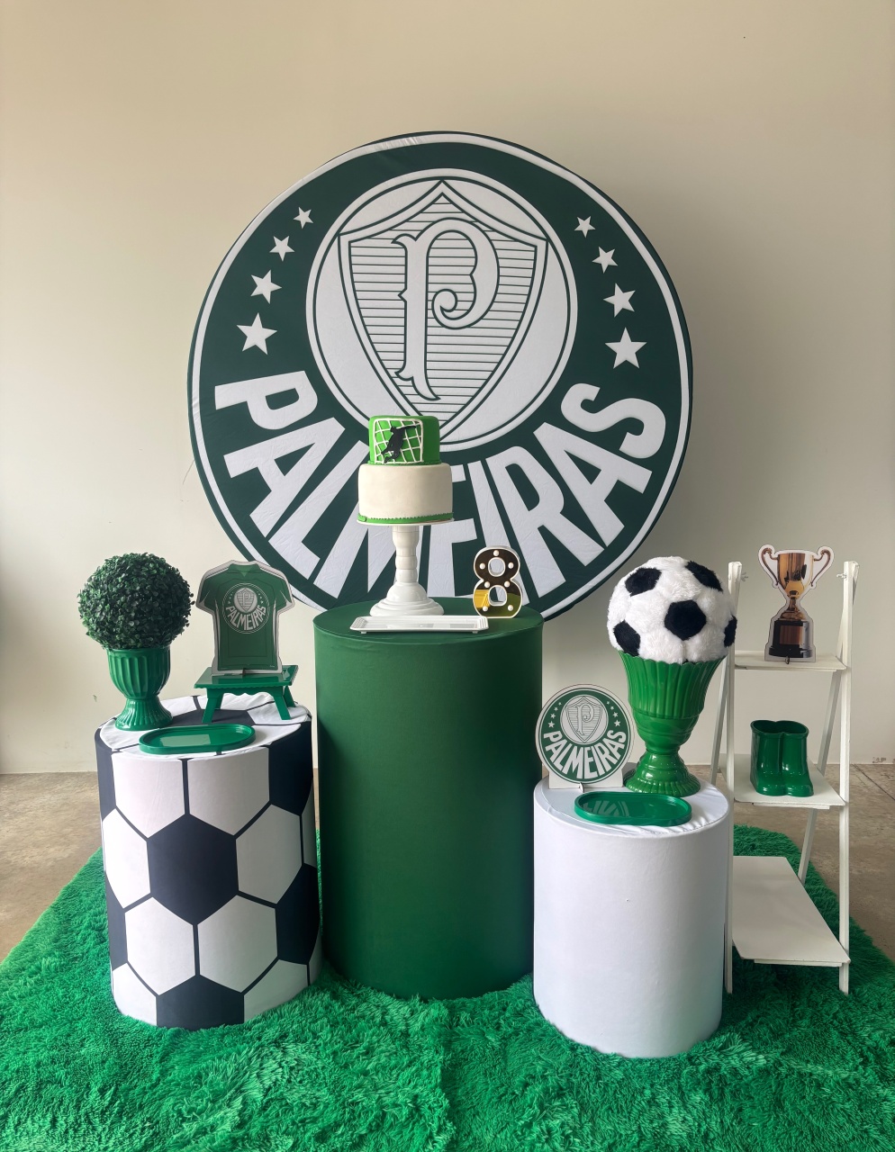 Palmeiras  - maedecorapegueemonte