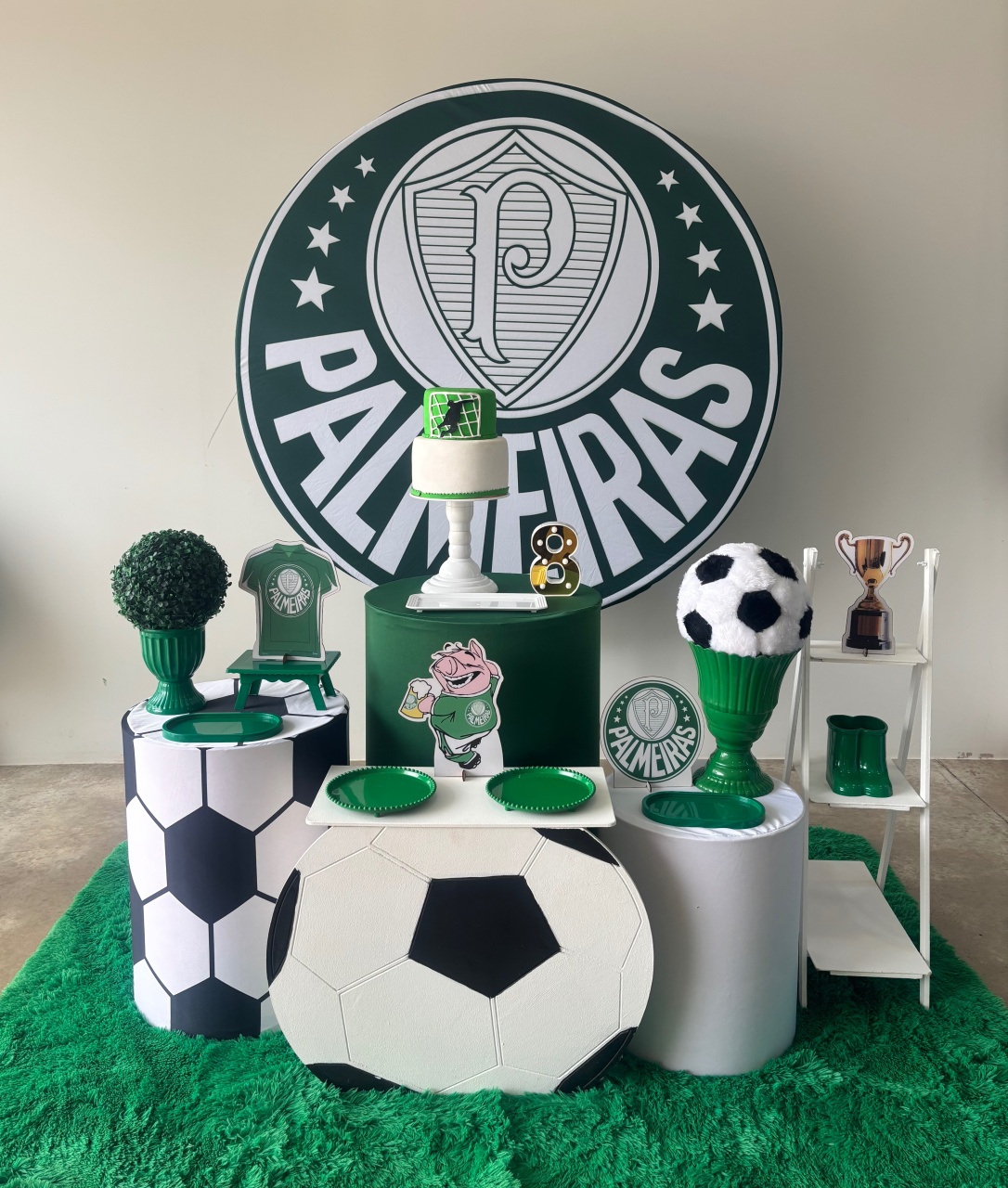 Palmeiras M - maedecorapegueemonte