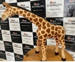 Girrafa M - imagem 2