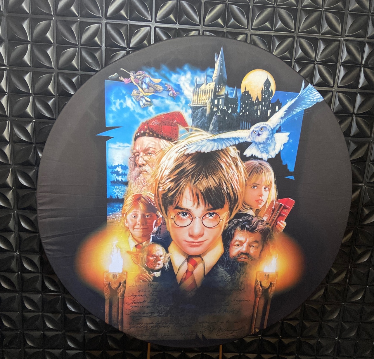 Painel Harry Potter - MN Decorações 