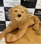 Leão - imagem 2