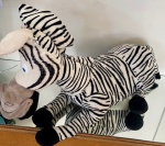 Zebra - imagem 2