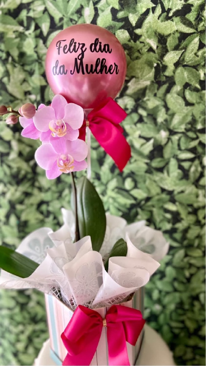 Encanto de Orquídea - MN Decorações 