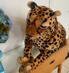 Leopardo G - imagem 2