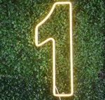 Número de Led 30Cm Altura  - imagem 1
