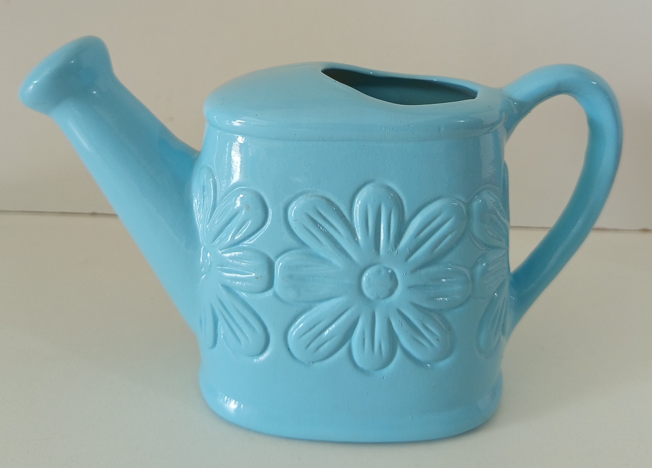 Regador Azul Com Detalhe de Flor (Cerâmica)  - Mariah locação