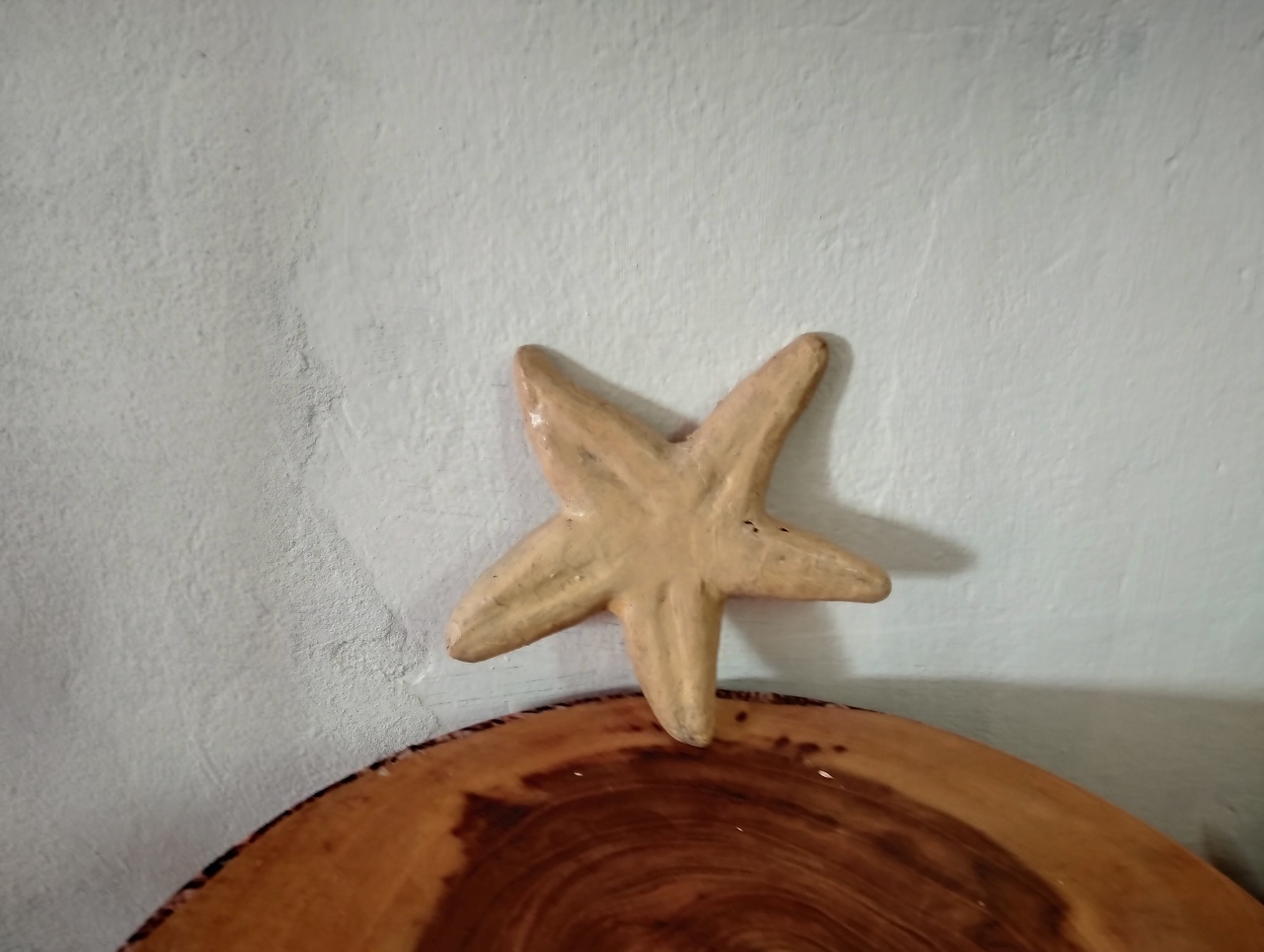 Estrela Do Mar - ANDREIA design festa e cenografia