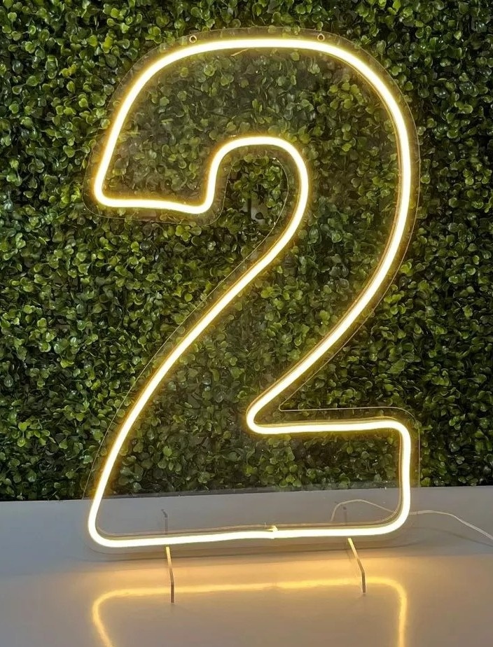 Número de Led - 2 - Camila Caroline Magalhães Vieira