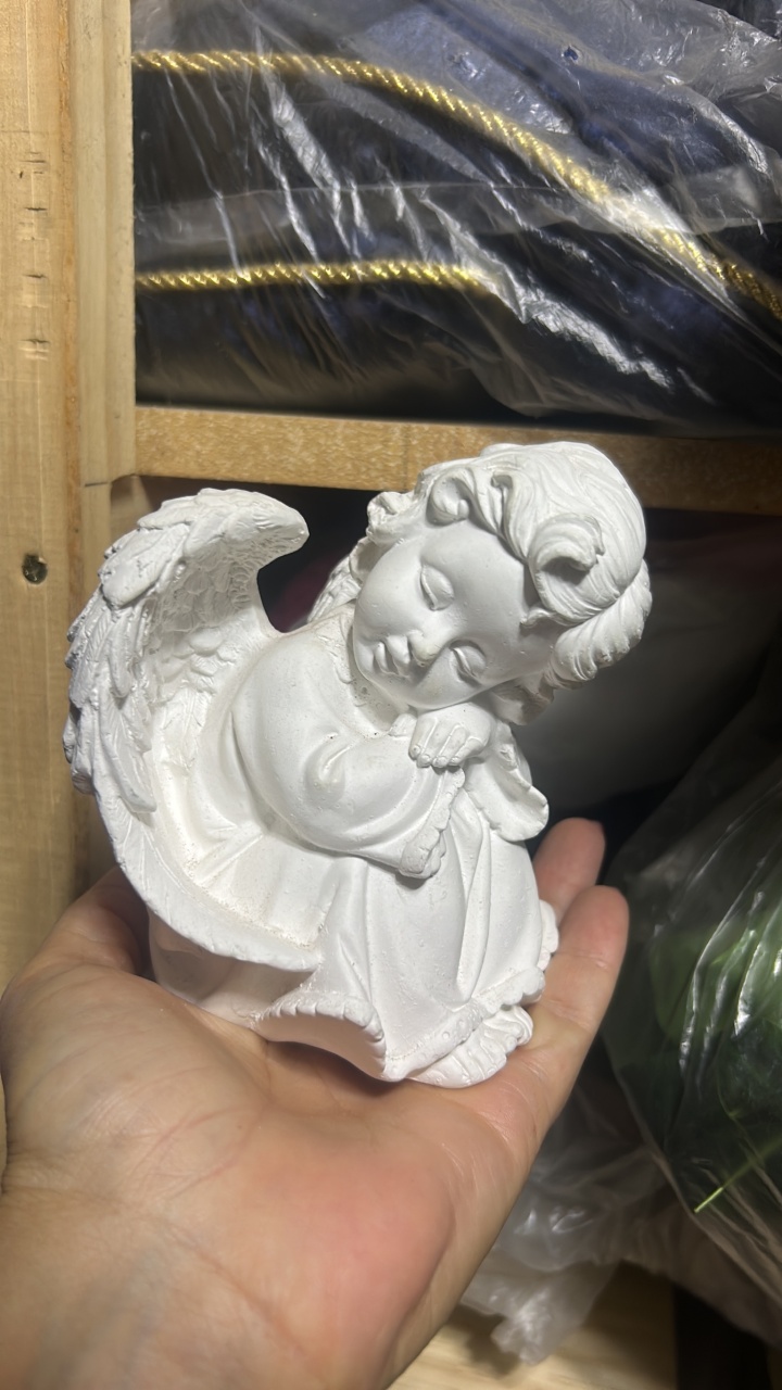 Anjo Gesso  - Camila Caroline Magalhães Vieira