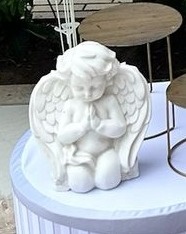 Anjo Branco Ps - Camila Caroline Magalhães Vieira