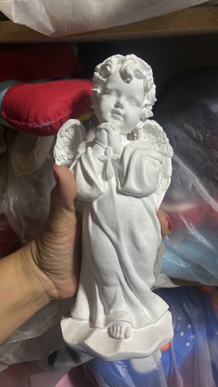 Anjo Gesso Gg - Camila Caroline Magalhães Vieira