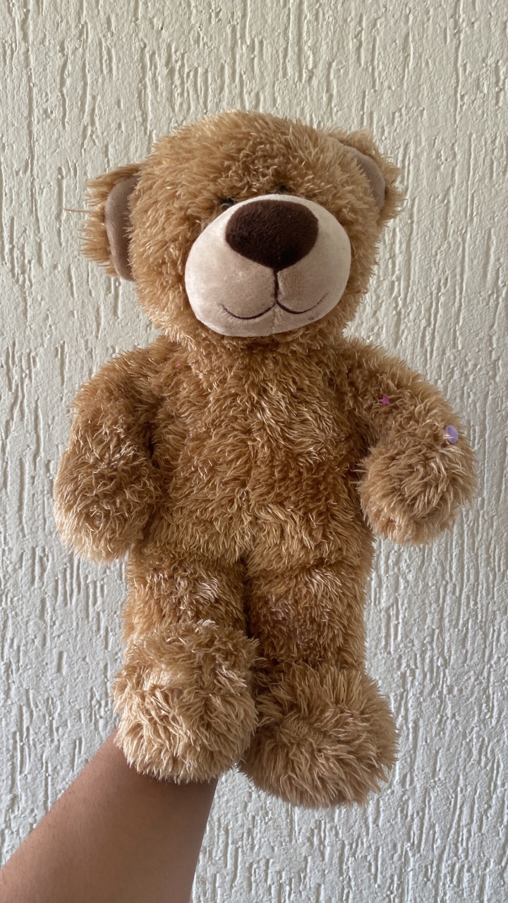 Urso P - Camila Caroline Magalhães Vieira