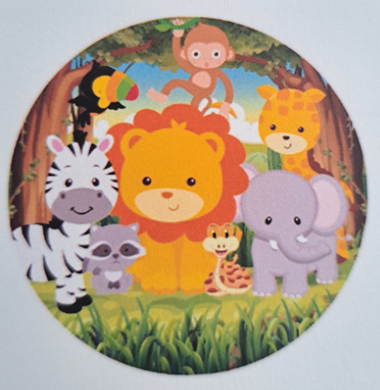 Capa Painel Redondo Safari Baby - MV festa