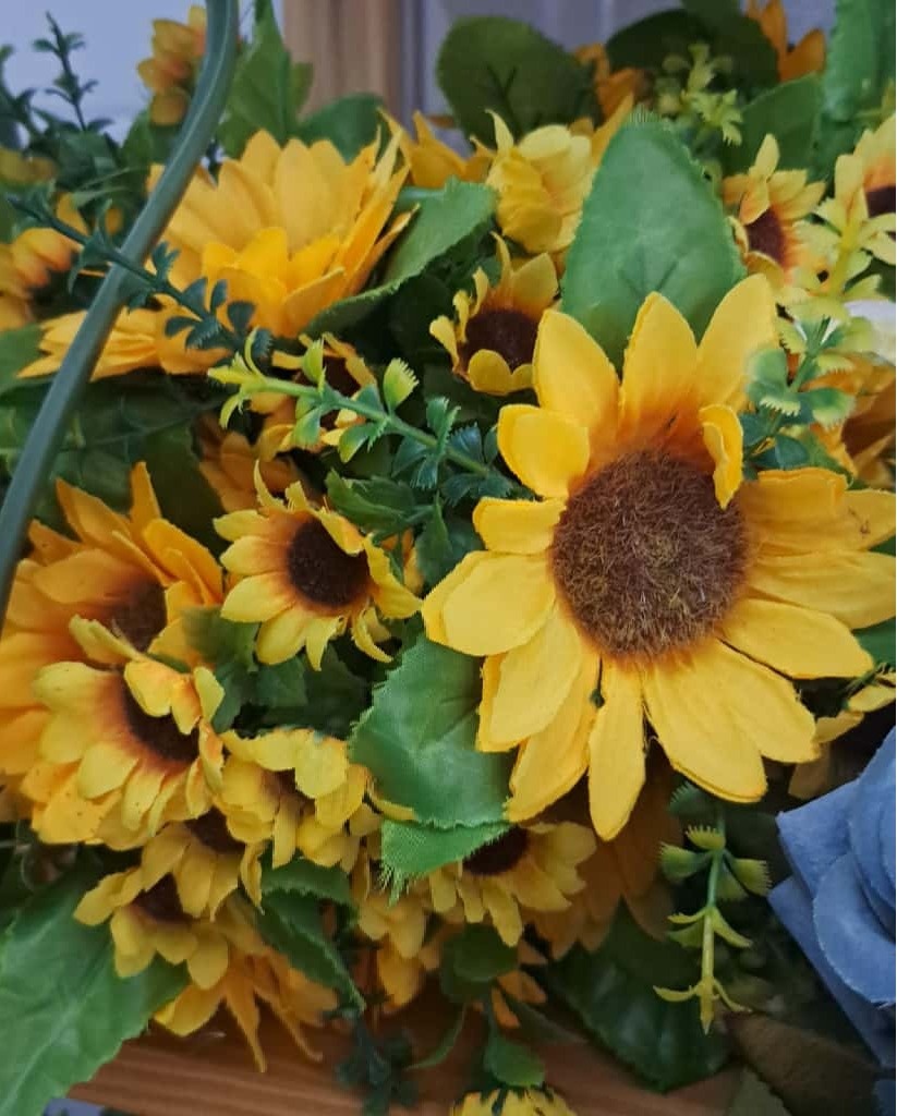 Flores de Girassol - MV festa