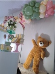 Decoração-Chá Revelação  - imagem 3