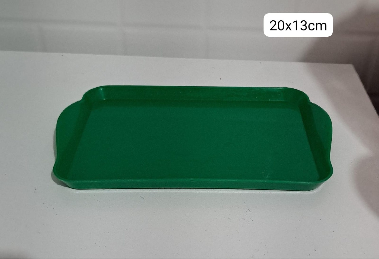 Bandeja Retangular Verde P de 20X13Cm - MV festa